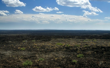 Картинка природа