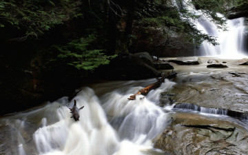 Картинка природа реки озера