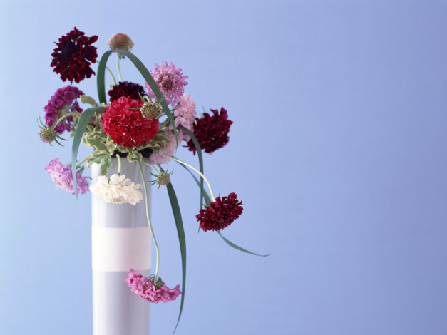 Обои картинки фото цветы, букеты, композиции