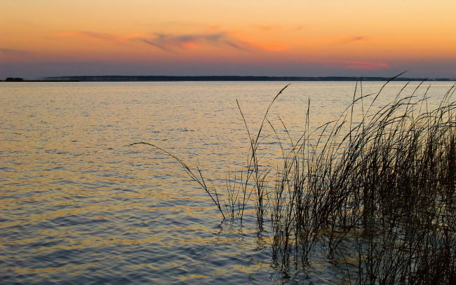 Обои картинки фото природа