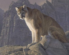 Картинка рисованные животные