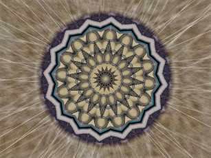 Картинка 3д графика fractal фракталы цвета узор