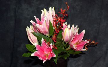 Картинка цветы букеты композиции орхидея лилии