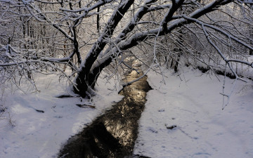 Картинка природа реки озера лес река снег