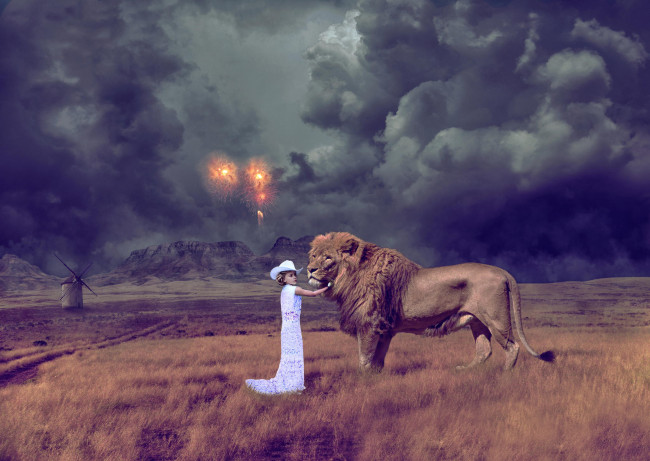 Обои картинки фото фэнтези, фотоарт, салют, поле, тучи, лев, девушка