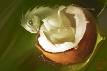 Картинка gaudibuendia фэнтези драконы дракон кокос