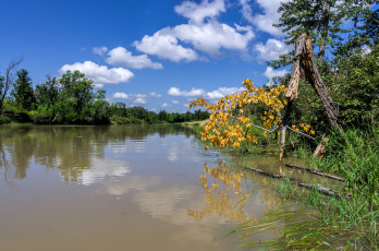 Картинка природа реки озера река лес