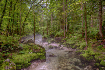 Картинка природа реки озера тракт