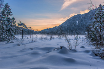 Картинка природа зима снег