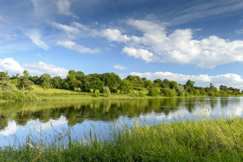 Картинка природа реки озера река лес