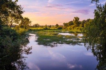 Картинка природа реки озера река лес