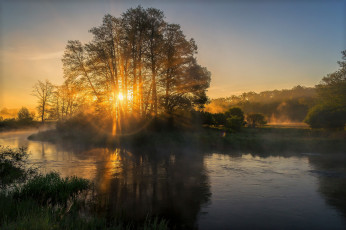 Картинка природа реки озера река лес