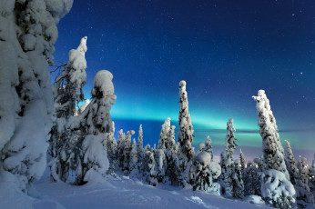 Картинка природа зима снег