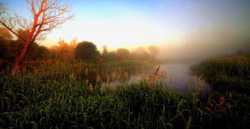 Картинка природа реки озера река лес