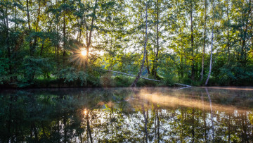 Картинка природа реки озера лес река