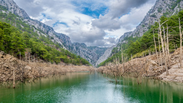 Картинка природа реки озера река лес