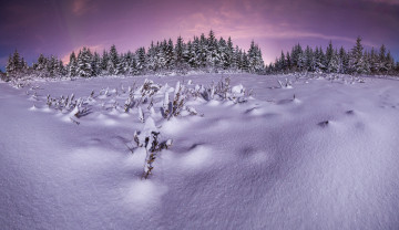 Картинка природа зима снег