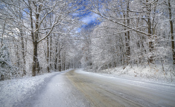 Картинка природа зима снег