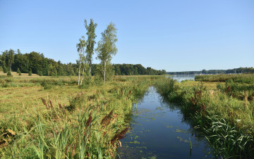 Картинка природа реки озера река лес