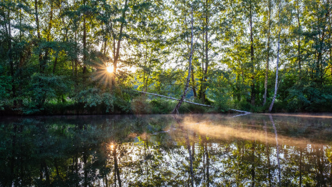 Обои картинки фото природа, реки, озера, лес, река