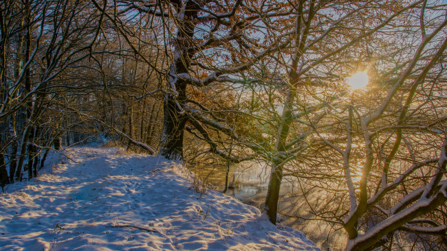 Обои картинки фото природа, зима, снег