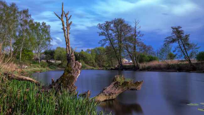 Обои картинки фото природа, реки, озера, река, лес