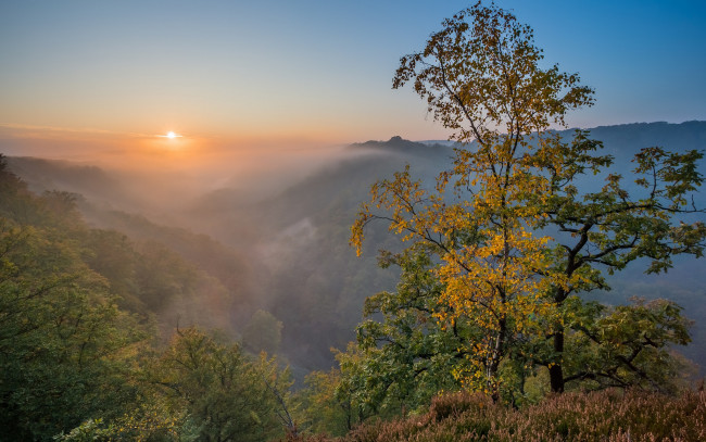 Обои картинки фото природа, восходы, закаты, рассвет