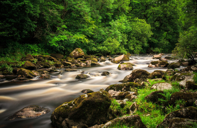 Обои картинки фото природа, реки, озера, река, лес