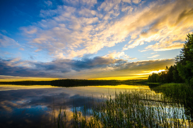 Обои картинки фото природа, реки, озера, лес, река