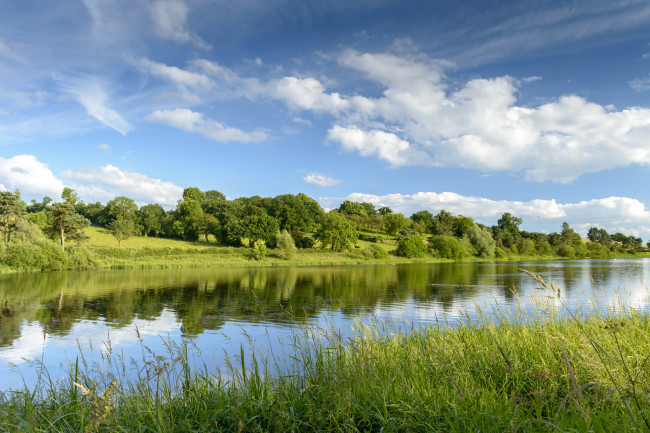 Обои картинки фото природа, реки, озера, река, лес