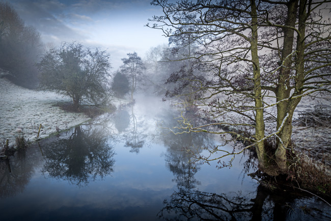 Обои картинки фото природа, реки, озера, лес, река