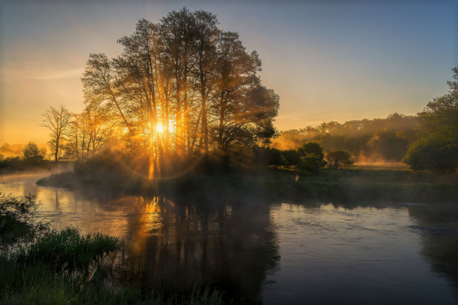 Обои картинки фото природа, реки, озера, река, лес