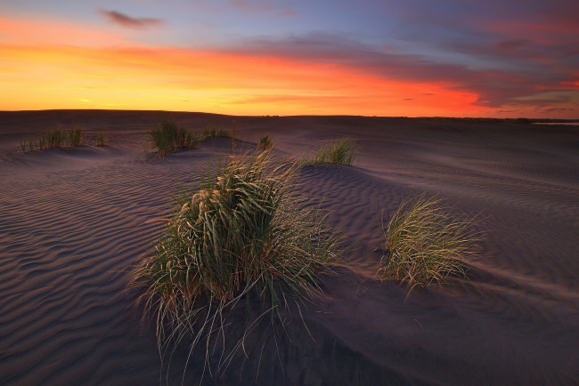 Обои картинки фото природа, восходы, закаты, рассвет