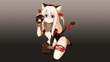 Картинка аниме fate stay+night +grand+order +apocrypha фон взгляд девушка