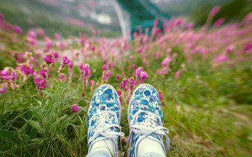 Картинка разное одежда +обувь +текстиль +экипировка ноги тапки цветы трава