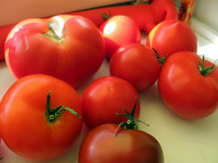 Картинка еда помидоры томаты