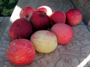 Картинка еда яблоки