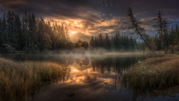 Картинка природа реки озера австрия озеро пфаррертайх