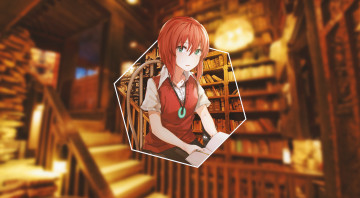 Картинка аниме mahou+tsukai+no+yome невеста чародея