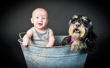 Картинка разное дети ребенок собака тазик