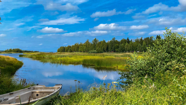 Обои картинки фото корабли, лодки,  шлюпки, затока, лодка, трава, лето