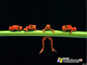 Картинка компьютеры windows xp