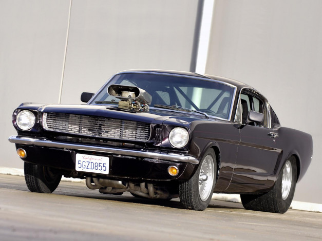Обои картинки фото ford, mustang, автомобили