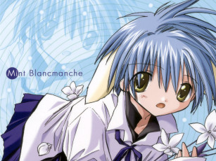 Картинка аниме galaxy angel