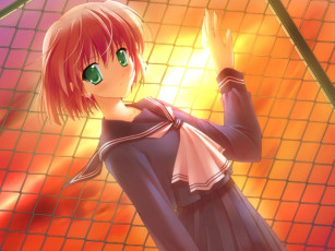 Картинка canvas аниме