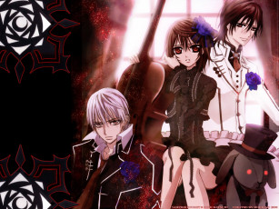 Картинка аниме vampire knight