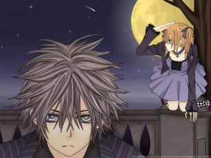 Картинка аниме vampire knight