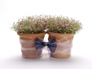 Картинка цветы букеты композиции