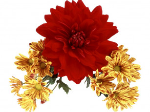 Картинка цветы букеты композиции