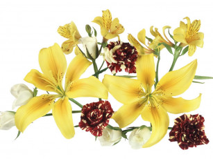 Картинка цветы букеты композиции